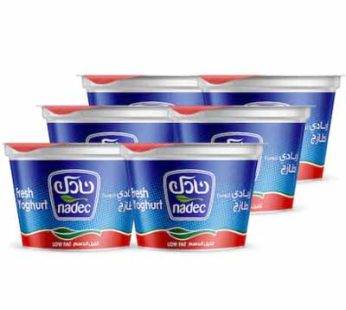 Nadec Fresh Yoghurt Low Cream 170g × 6pcs