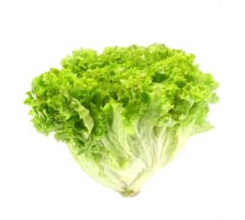 Fresh Lettuce Pack