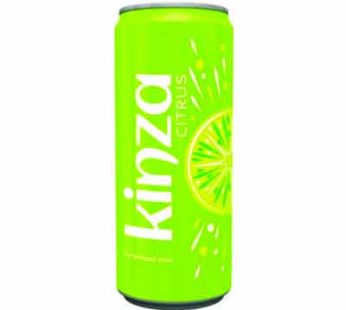 Kinza Citrus CSD 250 ml